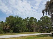 Vacant Land for sale at 80 Cobia Dr, Placida, FL 33946 - MLS Number is D6109981