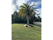 Beautiful Palm tree in front of home - Single Family Home for sale at 4200 Swensson St, Port Charlotte, FL 33948 - MLS Number is C7452315