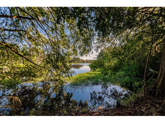 A haven for water birds, ospreys, hawks, owls, and eagles. - Single Family Home for sale at 7700 Iguana Dr, Sarasota, FL 34241 - MLS Number is A4512842