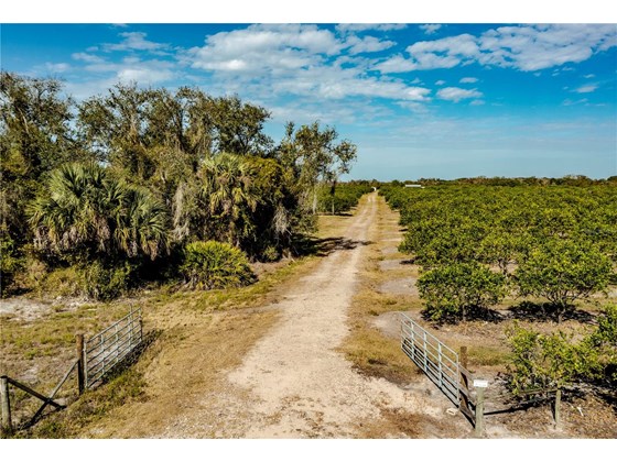Vacant Land for sale at 7501 Sw Hull Ave, Arcadia, FL 34269 - MLS Number is N6118734
